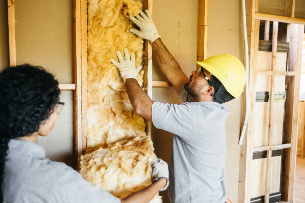 Insulation Air Sealing in Nashville, TN