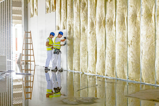 Trusted Nashville, TN Insulation Installation & Removal Experts